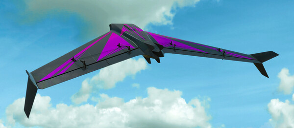 RealFlight Evolution – HardVector screenshot 3