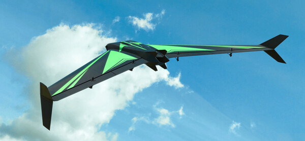 RealFlight Evolution – HardVector screenshot 2