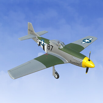 RealFlight Evolution - 2025 Year Content Pass