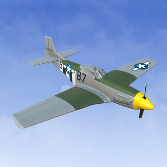 RealFlight Evolution - 2025 Year Content Pass