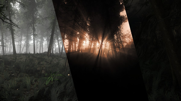 Thumbnail 14