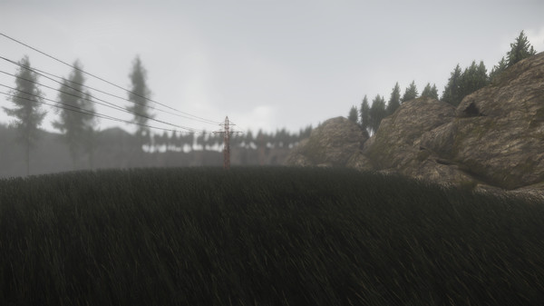 Thumbnail 15