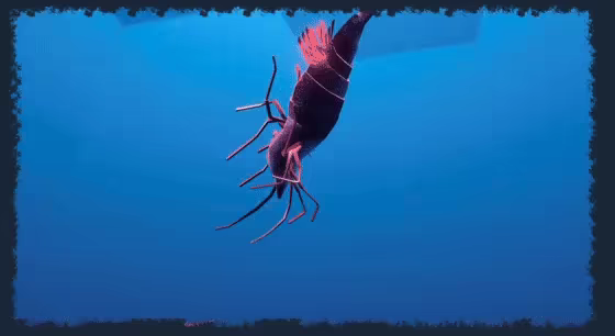 Shrimp Keeping Simulator video 1
