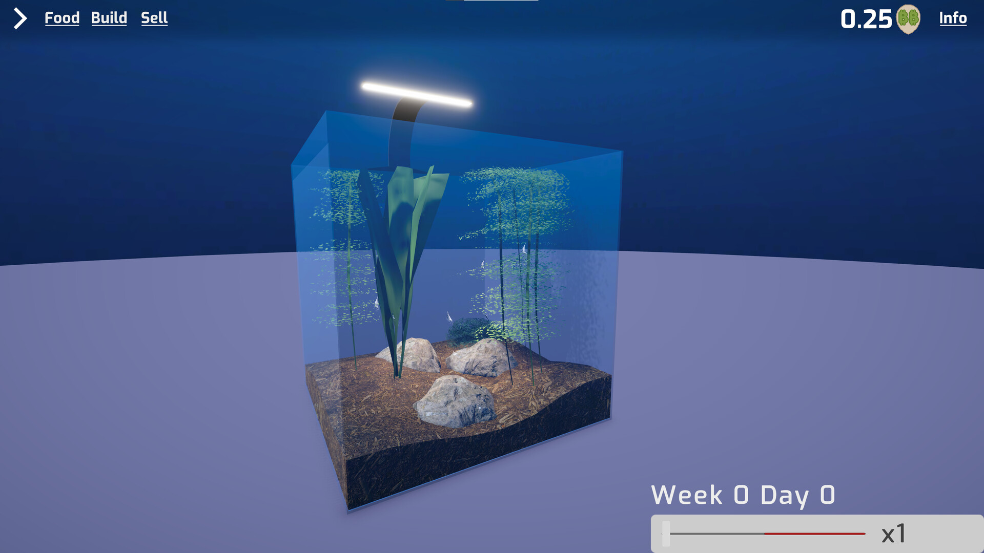 Shrimp Keeping Simulator screenshot 2