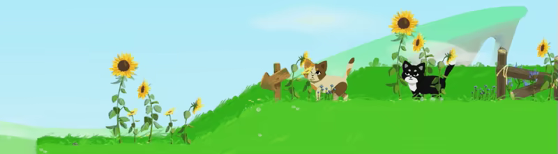 Cats Together video 3