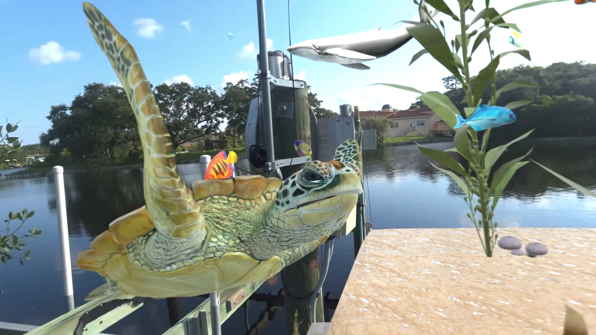 Aquarium Adventures screenshot 4