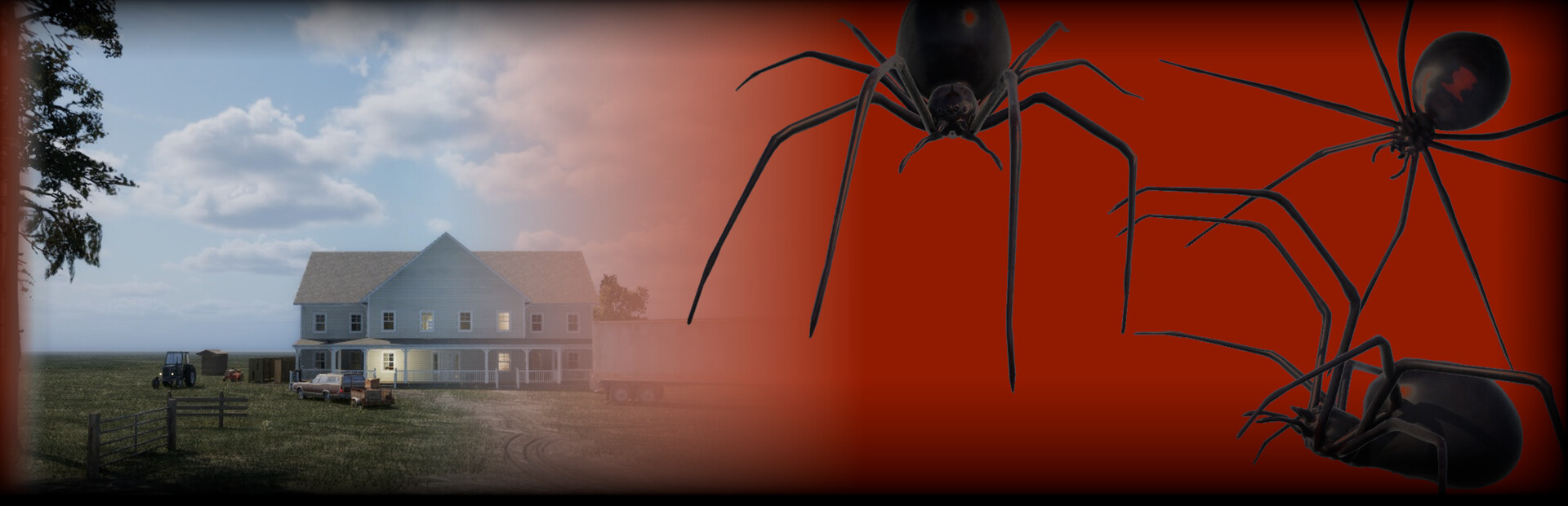 Arachnoid