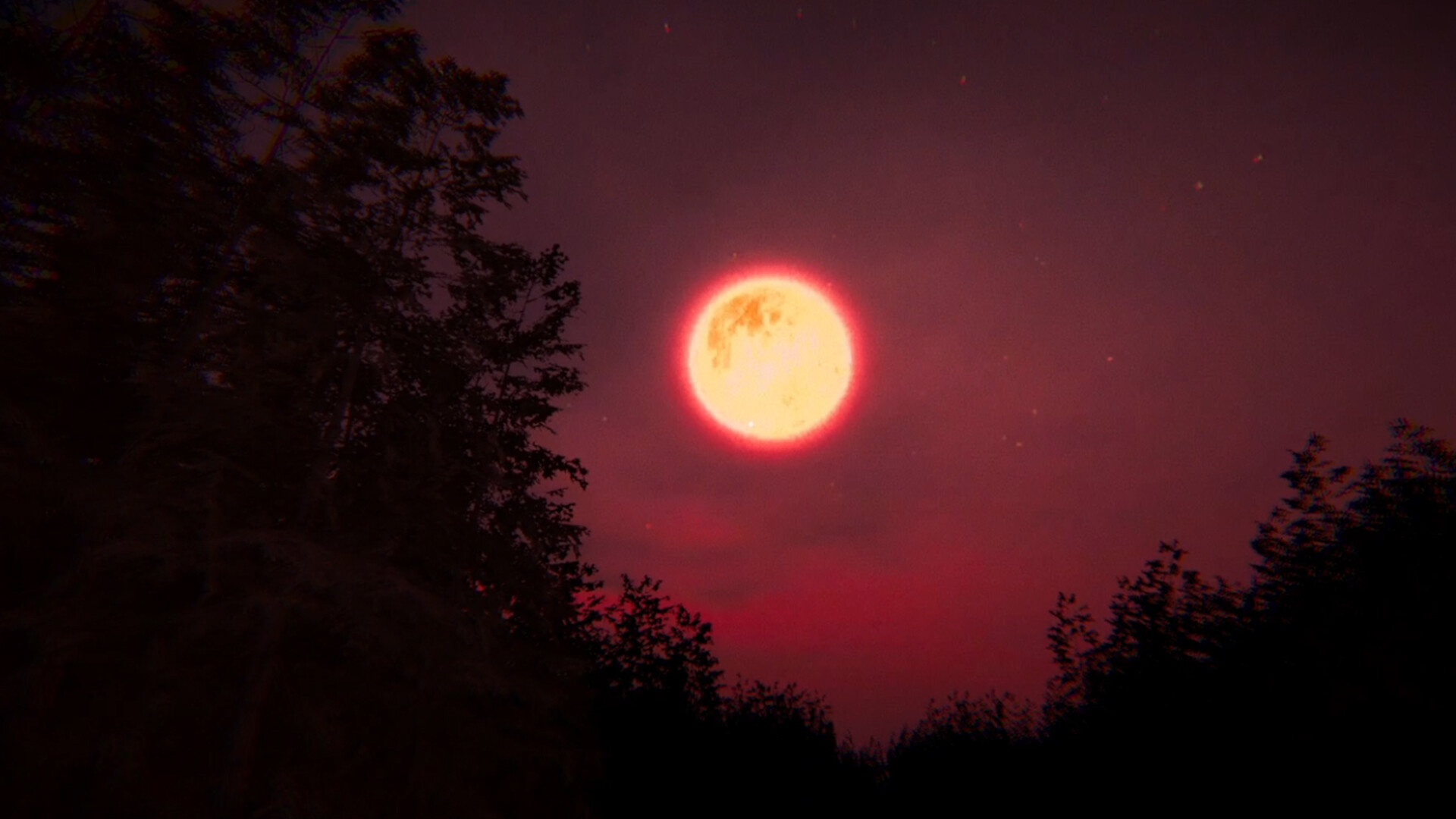 Deer Head screenshot #5