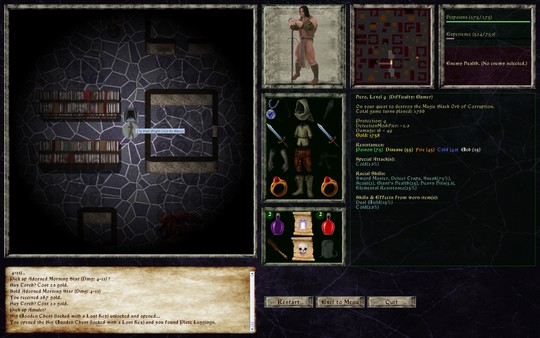 Lord of the Dark Castle screenshot 4