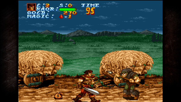 Beat 'Em Up Collection (QUByte Classics) screenshot 5