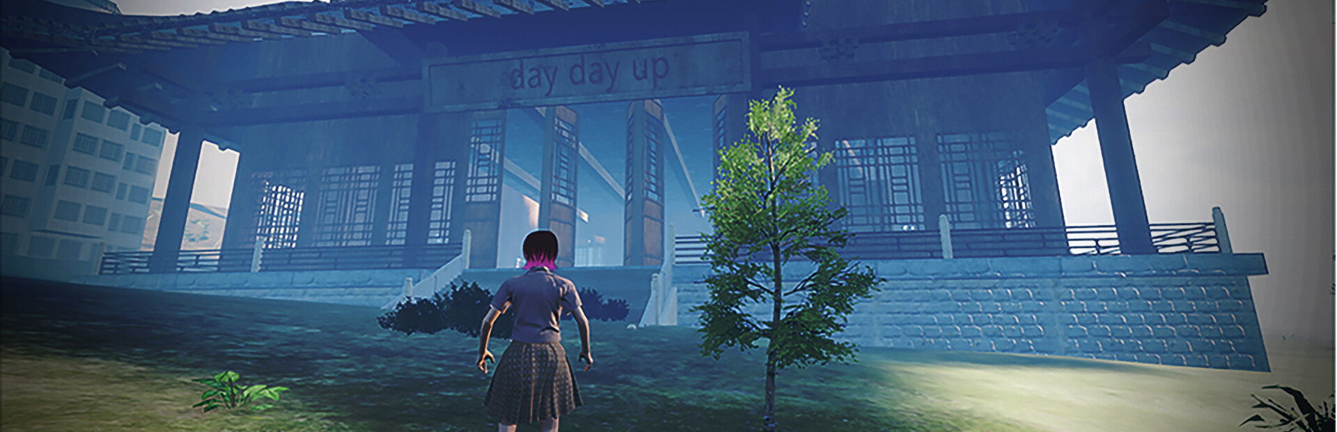 DayDayUp