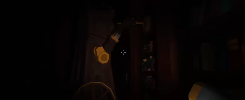 Unshelved video 13