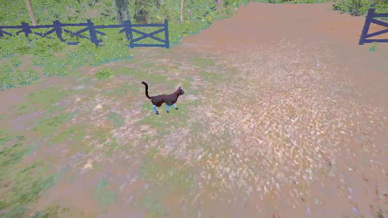 Hemera video 2