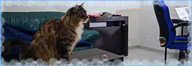BubbleByte video 2