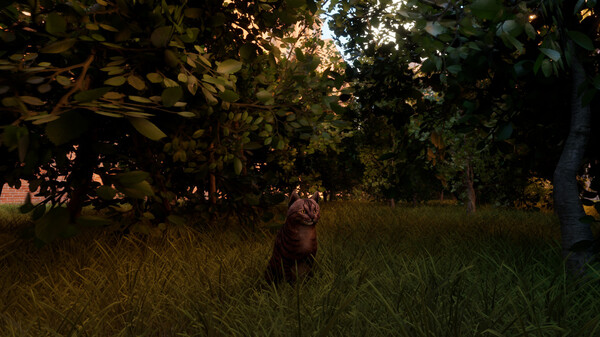 Screenshot z City of Cats