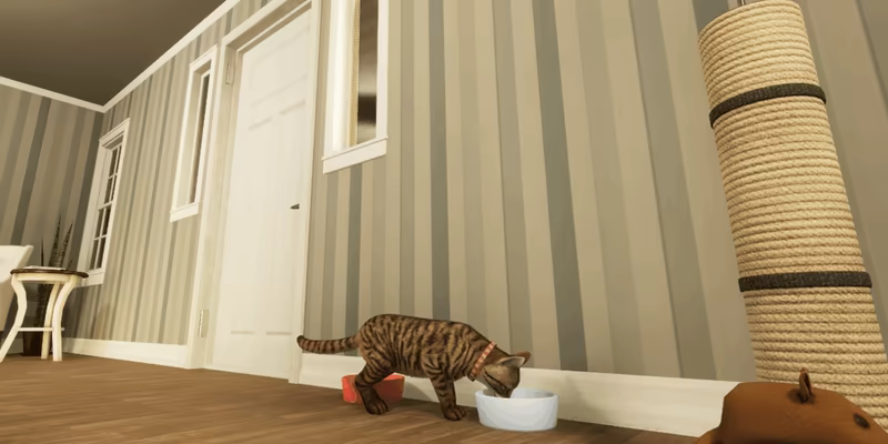 City of Cats video 6
