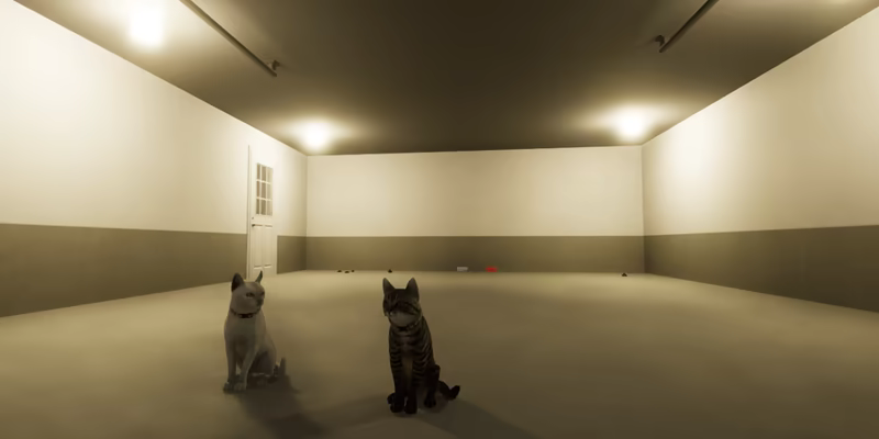 City of Cats video 8