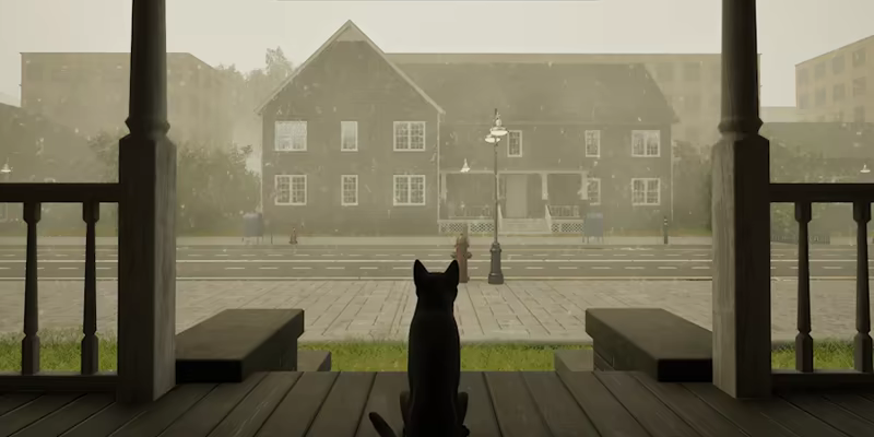 City of Cats video 2