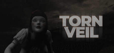 Torn Veil cover art