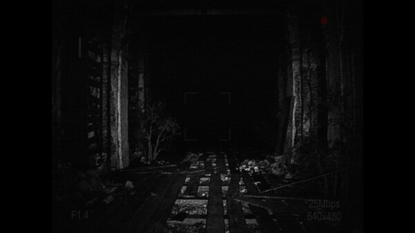 [REC] Desolation screenshot 3