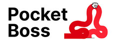Pocket Boss game cover