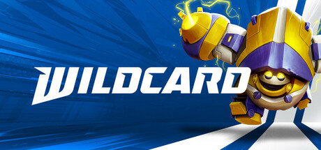 Wildcard Playtest