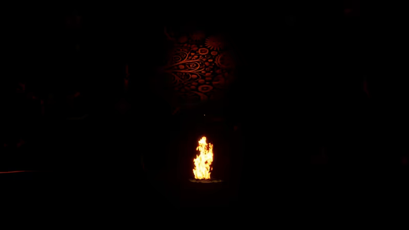 Stolen Blood video 1