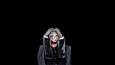 Screenshot #5