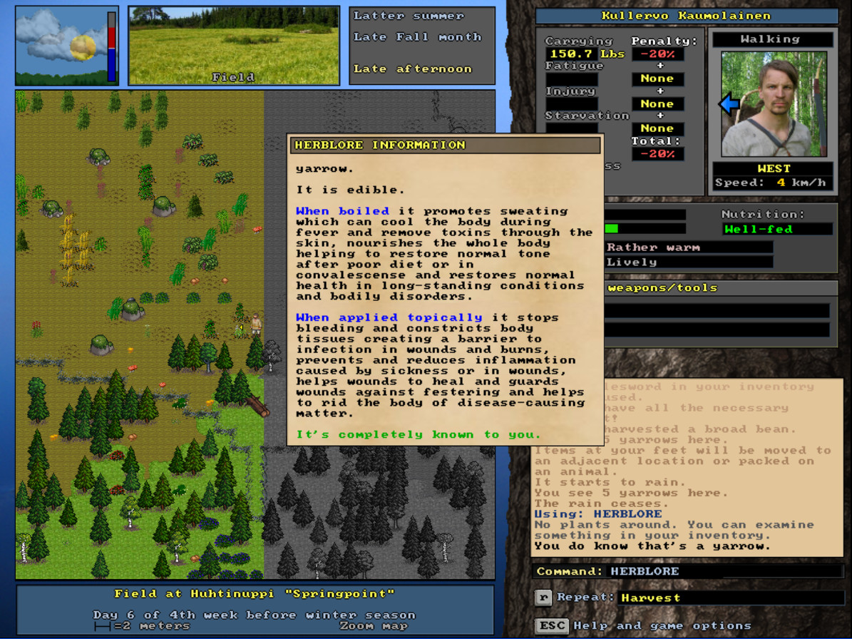 #6. UnReal World (Steam) By: Enormous Elk