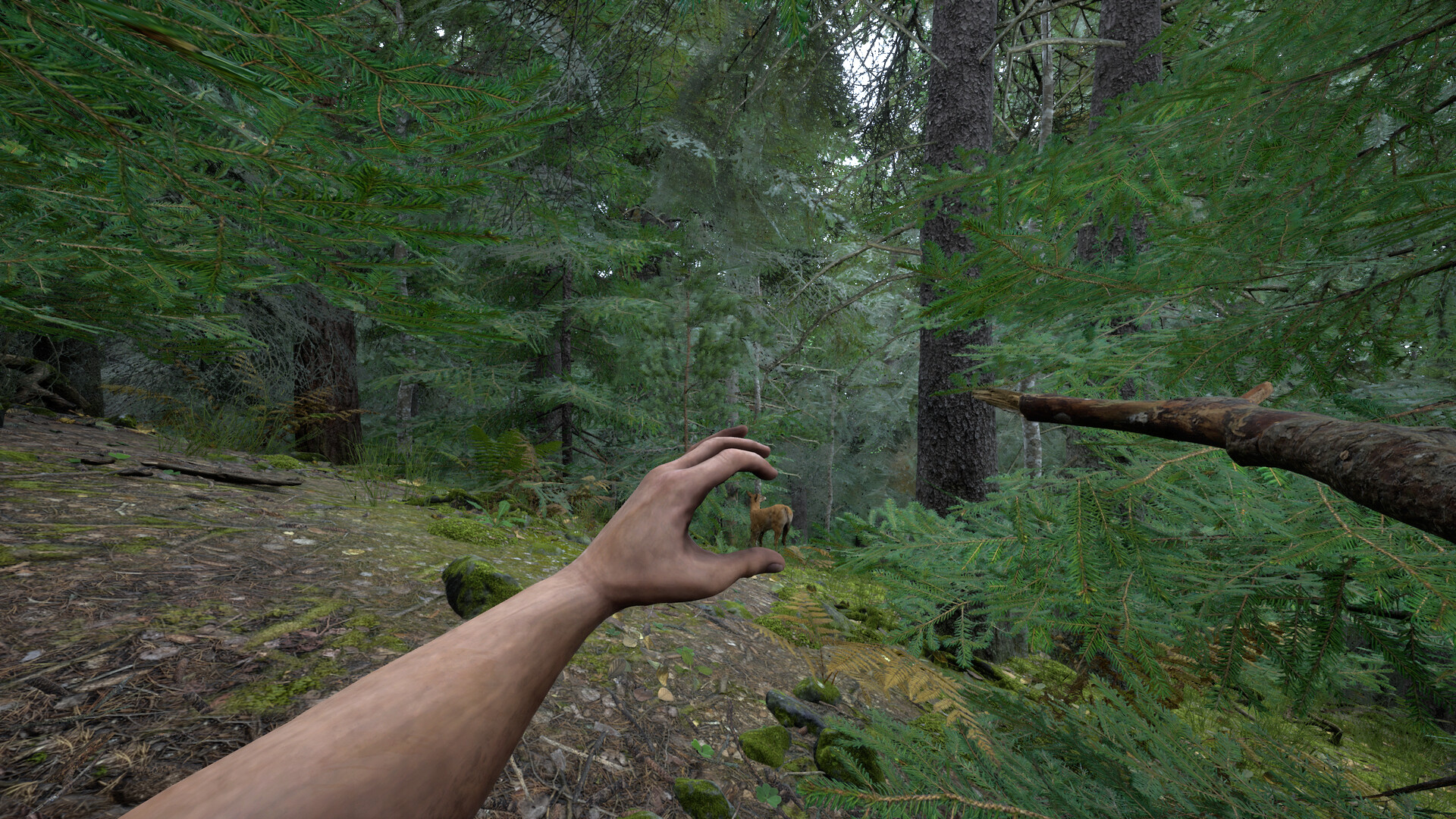 Paleolith screenshot #8