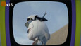 Screenshot #6