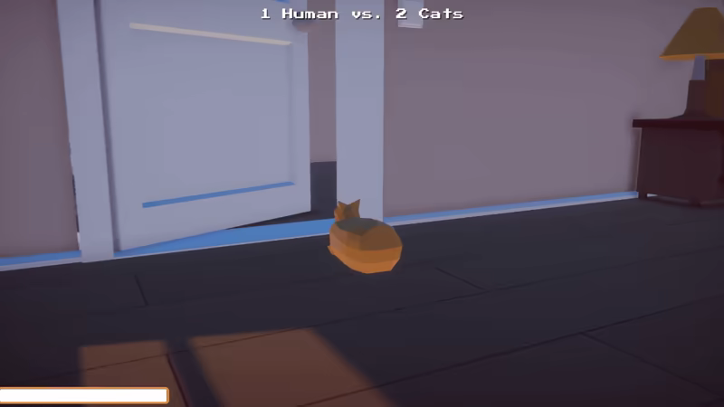 Man vs. Cats video 2