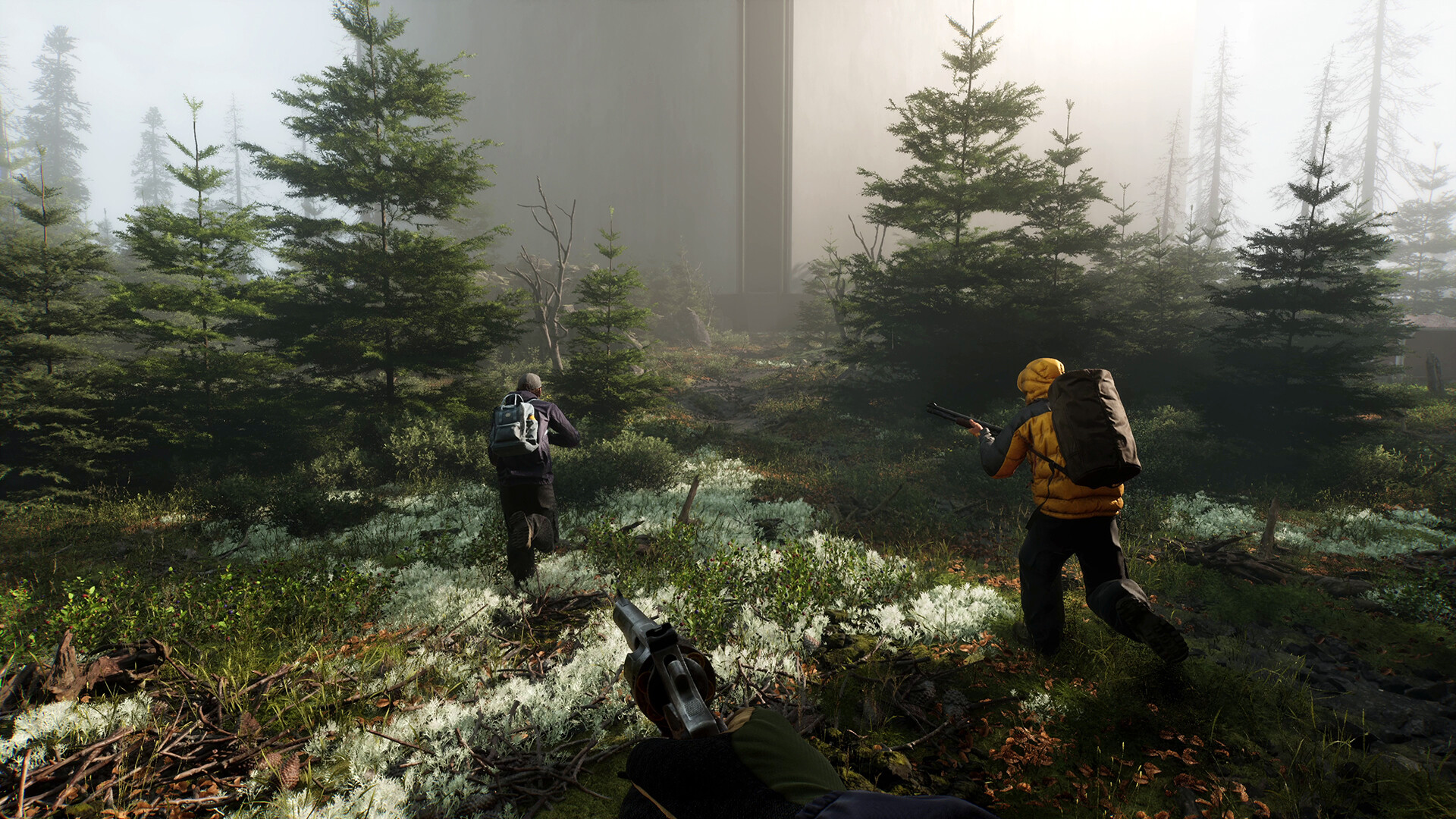 HAEX screenshot 4