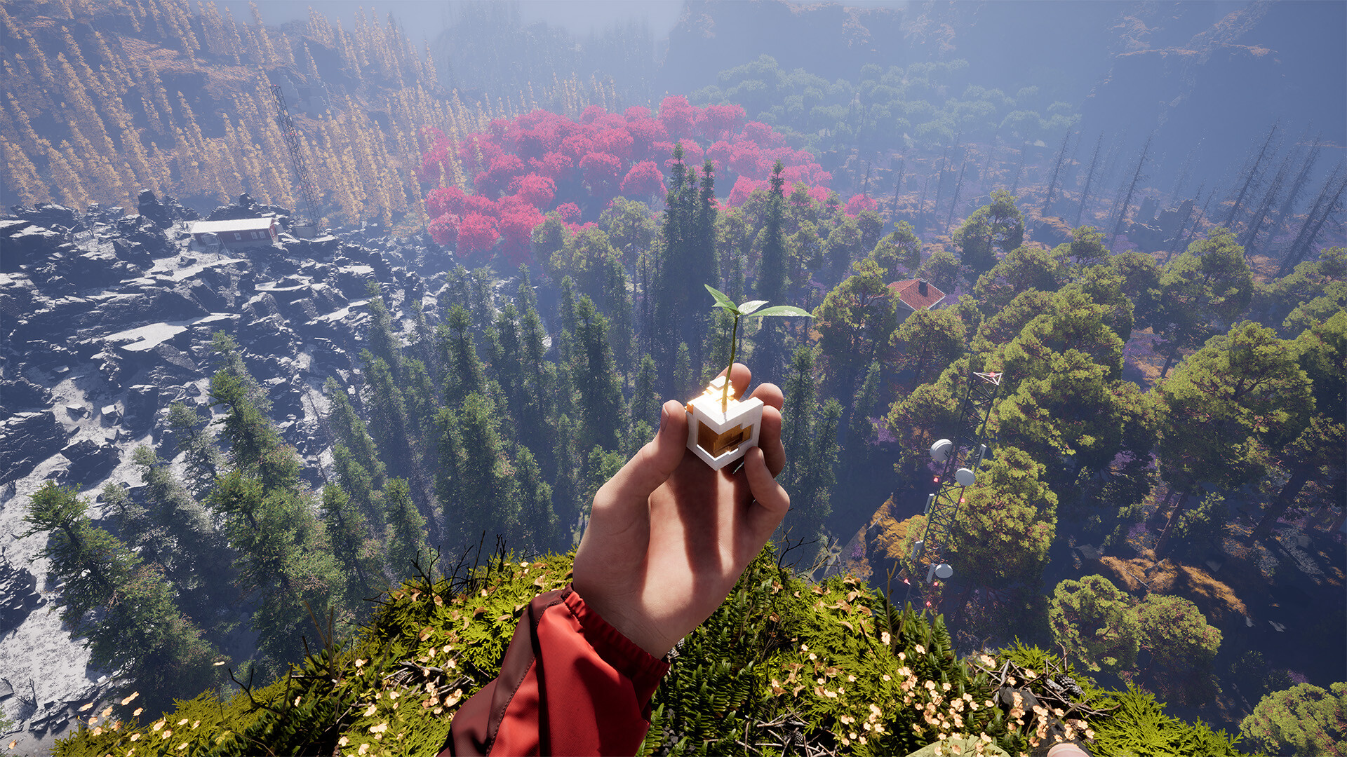 Thumb 3