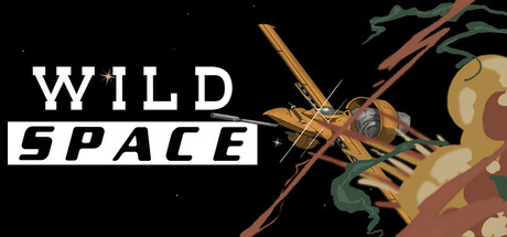 Portada Wild Space