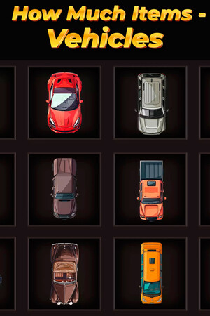 How Much Items: Vehicles cover art