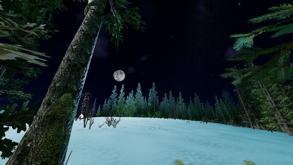 Bushcraft Survival