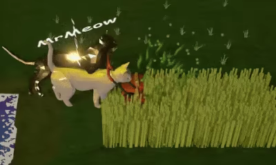 Mow Meow video 1