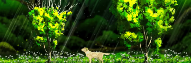 Treeplanter video 3