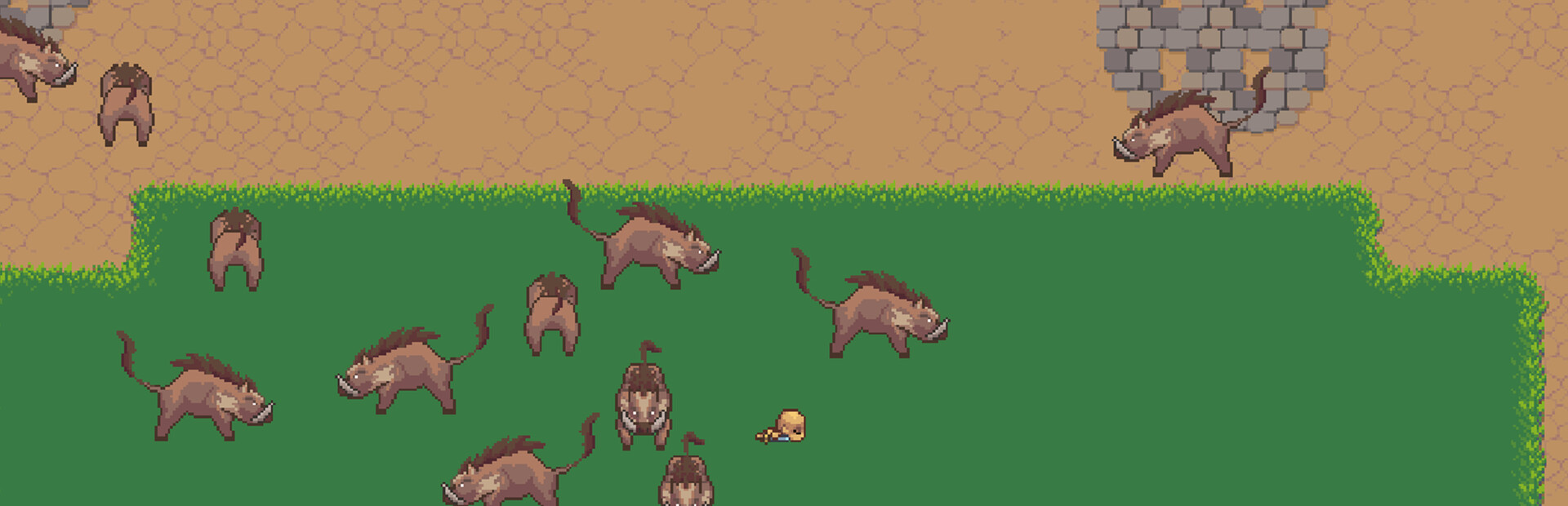 Wild boar survival