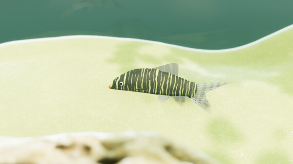 Fish Game - Indian Subcontinent Fish Pack 1