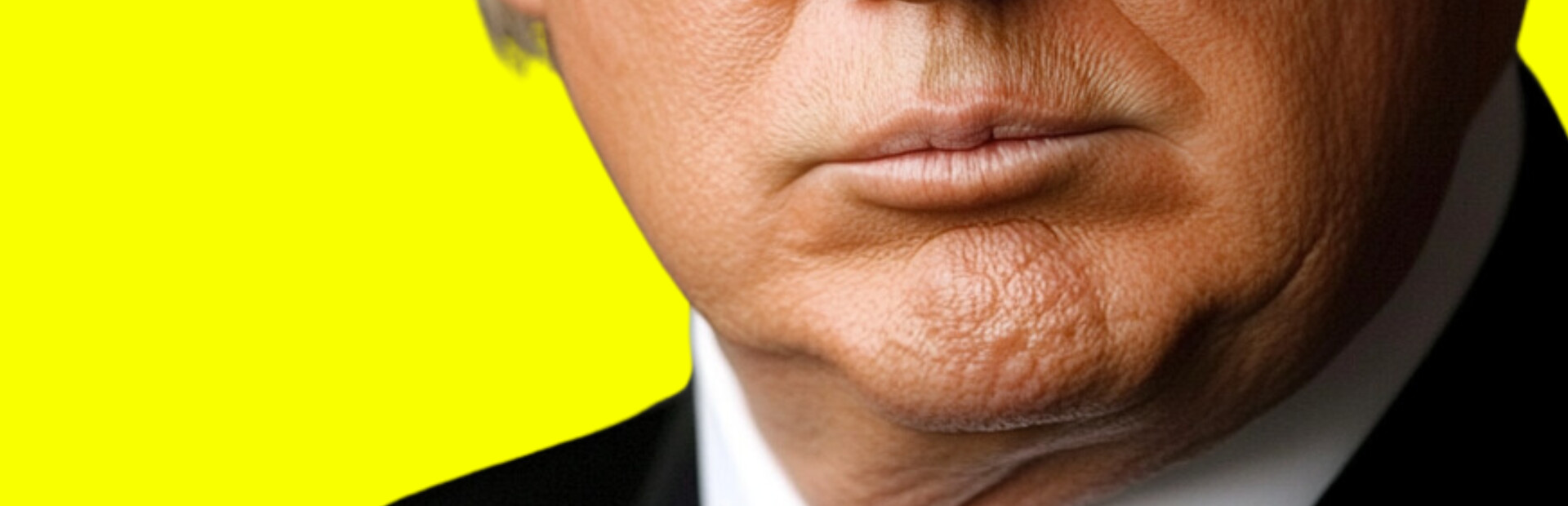 Trump Simulator 2025