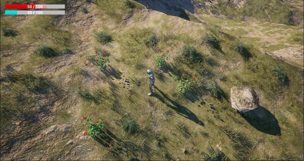 Project Arsk screenshot 6