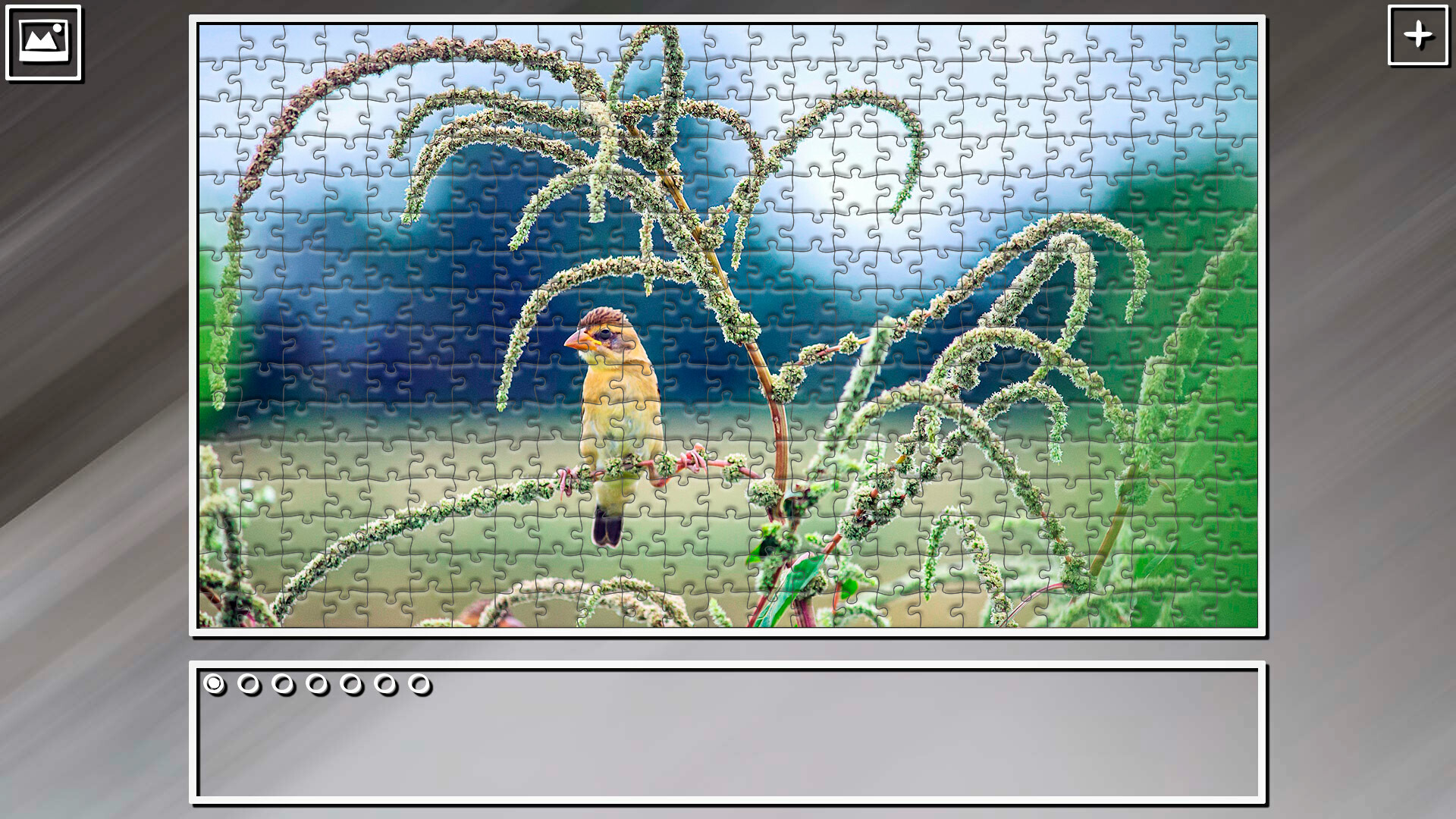 #4. Super Jigsaw Puzzle: Generations - Random Animals 5 (Steam) 由: Flat Cat Games