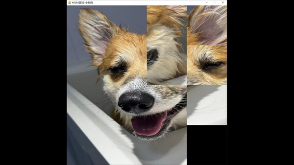 hgmGame-dog screenshot 3