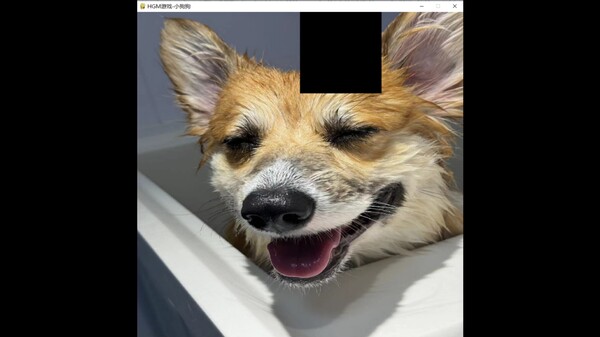 hgmGame-dog screenshot 5