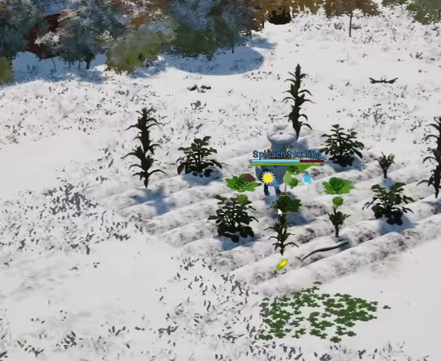 Wild Roots : Chef Vs Critters video 1