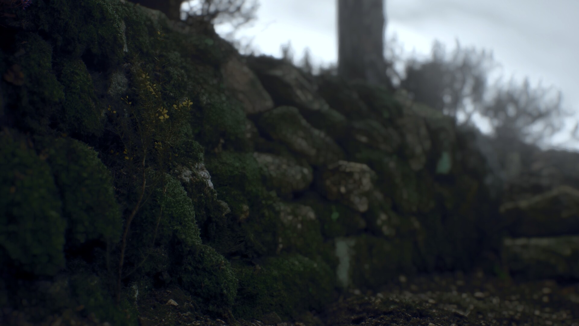 Ritual Tides screenshot #5