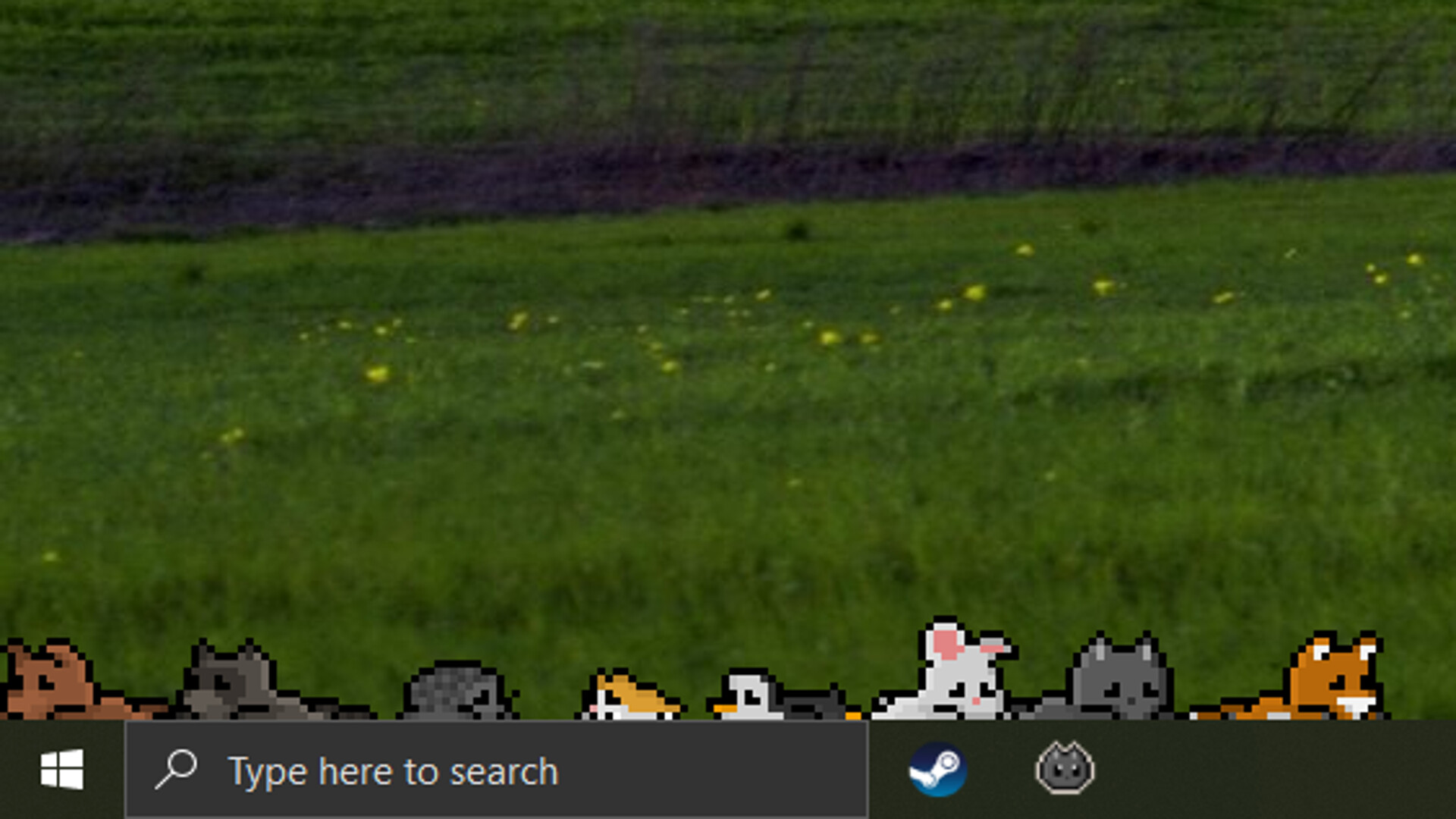 Screen Pets screenshot #6