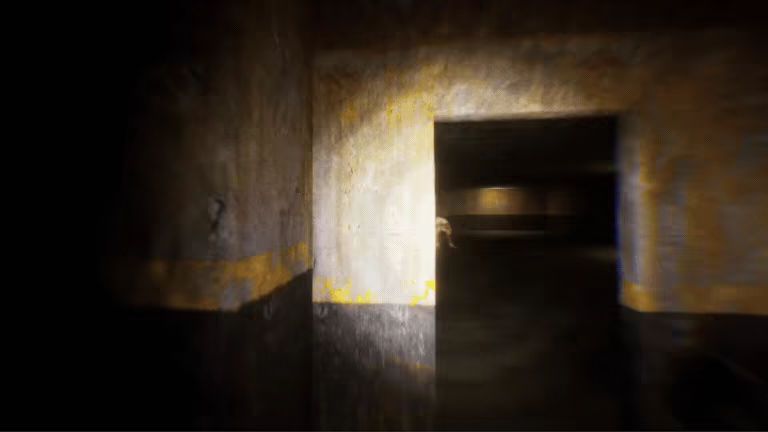 Backrooms Blackmarket video 3